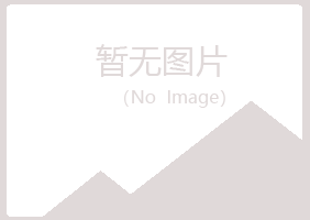 象山区雪青建设有限公司